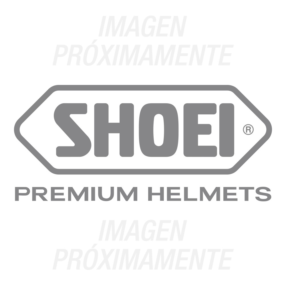 Logo Shoei posterior